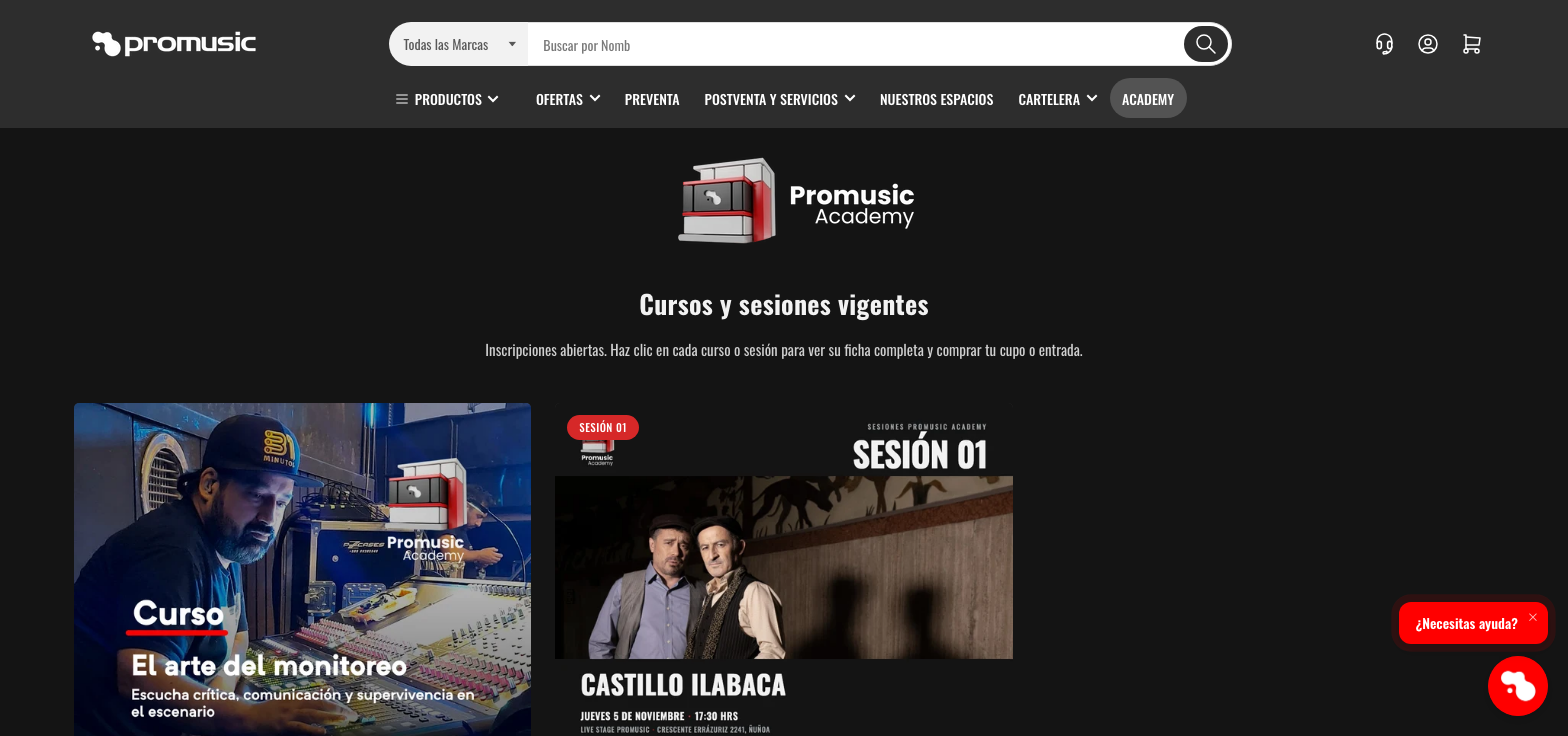 Captura del proyecto Promusic Academia